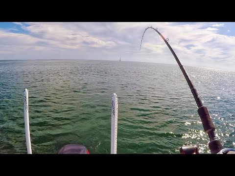 Southern Reels Fishing 