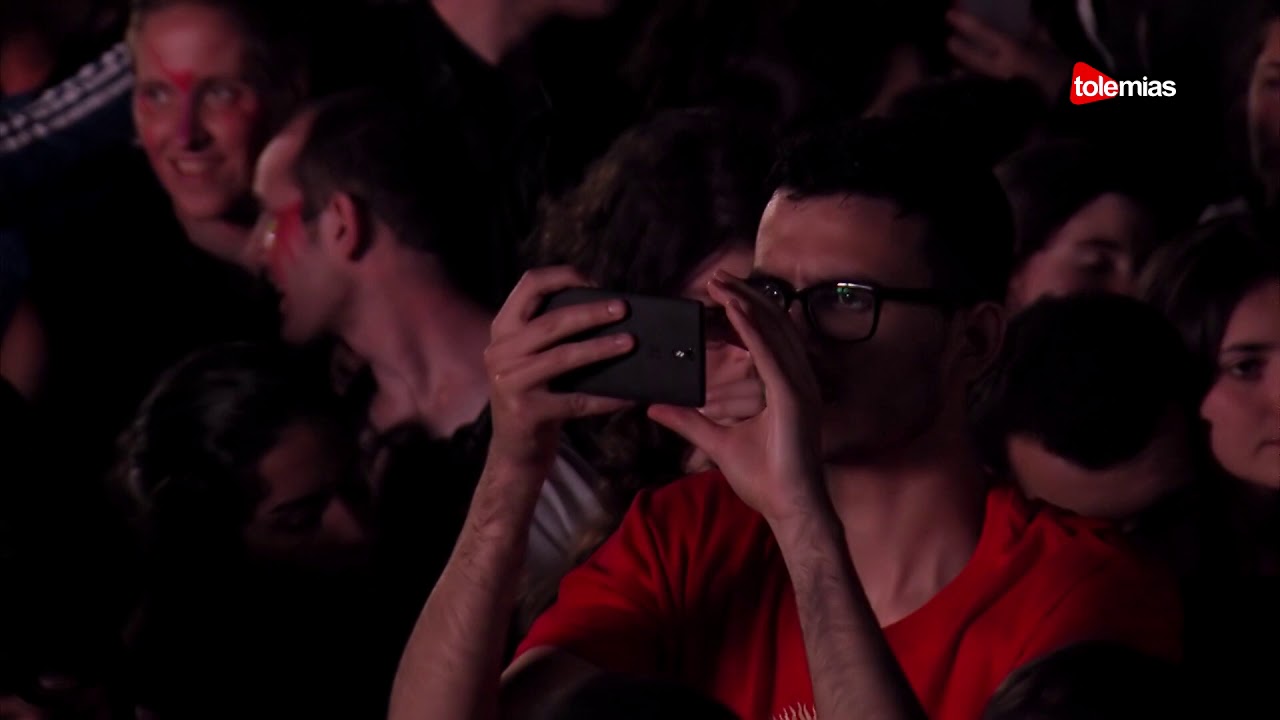 Peatbog Faeries - Folk Police