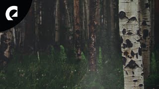 Moorland Songs - The White Birch (Royalty Free Music)