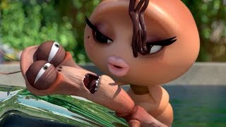 LARVA | TOUGH GUY | Videos For Kids | LARVA Full Episodes | Videos For Kids