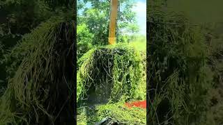 Satisfying canal cleaning with excavator! #shorts