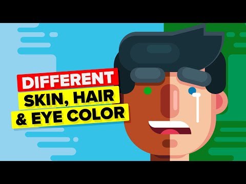 Why Do We Have Different Skin, Hair and Eye Color?