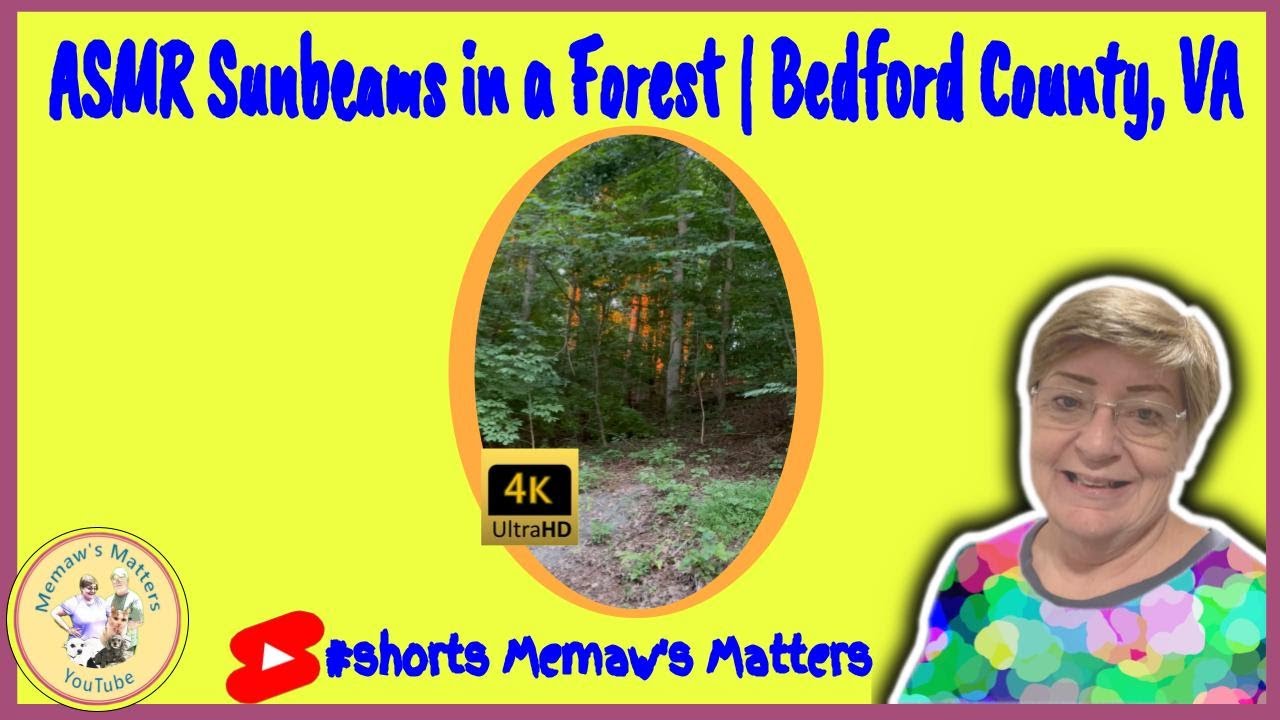 ASMR Sunbeams Shining in a Forest 4KHD 