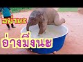 🐘🍼มาดูความสุขทุกครั้งของมิ่งเมื่อเจอสิ่งนี้