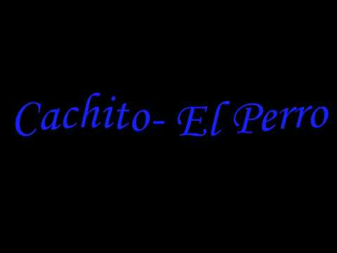 Cachito- El Perro