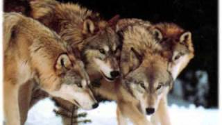 Loreena McKennitt - Mummer&#39;s Dance (Dance of wolves)