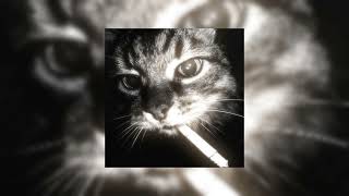 Download Lagu 𝘏𝘰𝘵 𝘱𝘭𝘢𝘺𝘭𝘪𝘴𝘵 𝘣𝘤𝘻,𝘺𝘰𝘶'𝘳𝘦 𝘵𝘩𝘦 𝘧𝘪𝘯𝘦 𝘴𝘩𝘺𝘵💋 +𝘛𝘪𝘮𝘦𝘴𝘵𝘢𝘮𝘱𝘴❗ MP3