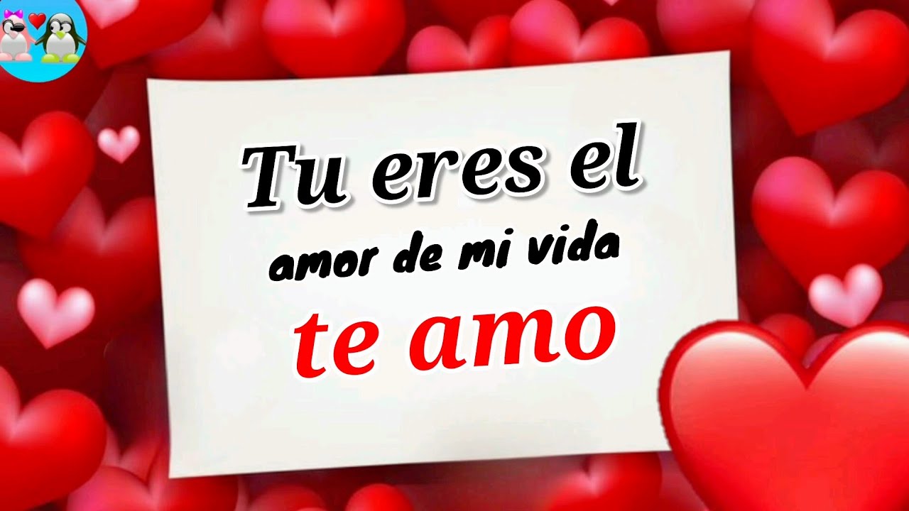Tu eres el AMOR DE MI VIDA ♥️ - YouTube