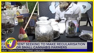 Gov't Seeking to Make Regularization Easier for Small Cannabis Farmers | TVJ Busines Day