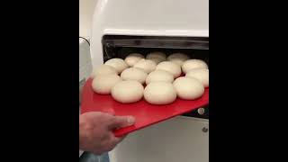 The Vitella Dough Divider Rounder