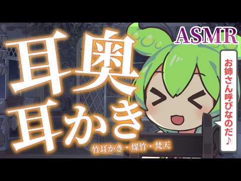 【ASMR】【お姉さん呼びver】奥まで耳かきで、ぐっすり眠れるずんだもんの寝かしつけなのだ【睡眠導入】竹の耳かき・煤竹・梵天・Ear Massage & Whispering
