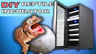 DIY Reptile Egg Incubator  |  Building a reptile Incubator is easier than it looks