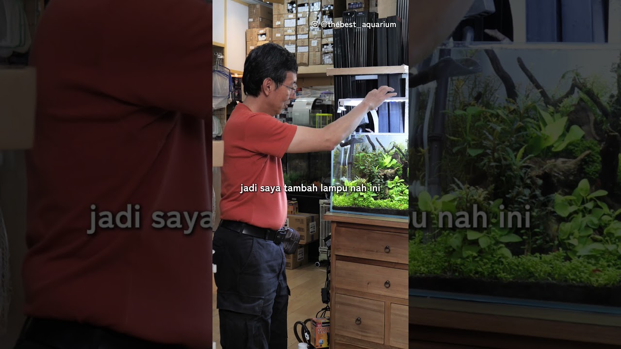 Intip Lampu & Kipas Aquascape Om Bing