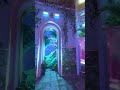 New House Track