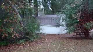 Home for Rent - 325 Goldenrod Court, Niceville, FL