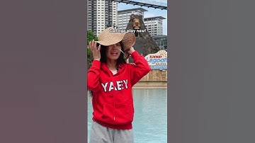 Chapter 46: Asian Moms At The Water Park Be Like @SunwayLagoonMalaysia  #yaey #mom  #comedy