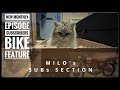 MILO'S SUB SECTION, A NEW MONTHLY EPISODE HOSTED BY MILO, LOOKING AT SUBSCRIBERS MOTORBIKES.