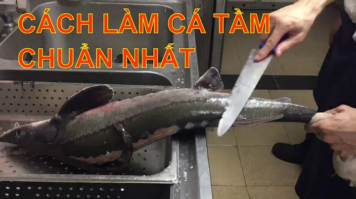 Top 9 hình ảnh cá tầm