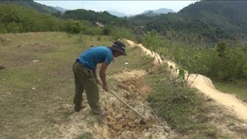 Thiếu đất sản xuất vùng tái định cư tại Quảng Ngãi