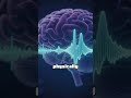 Want to unlock your brain’s true potential? 🧠✨#GeniusWave #FocusBoost #BrainPower