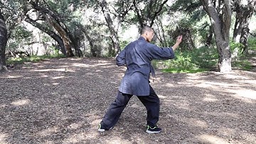 Shaolin Xiao Hong Quan 小洪拳 - Part 01