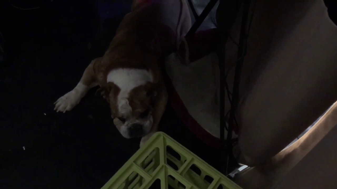 Daily Rapid Garden View May 29 No-Spill Revolution