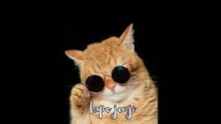 Download lagu JOGET LUPA JANJI REMIX NEW