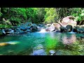 Natural mountain water sounds for calm nights