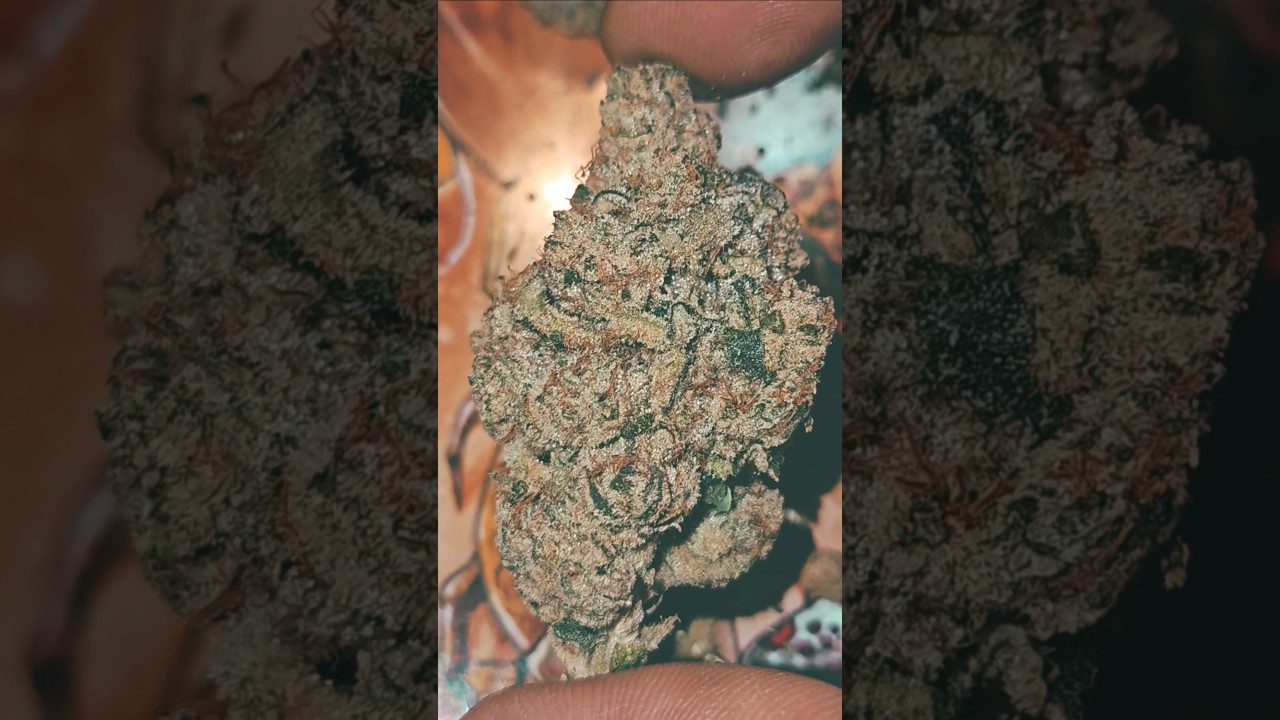 KHALIFA MINTS by KHALIFA KUSH