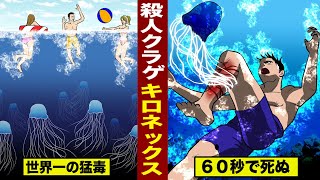 【実在】世界一の猛毒クラゲ...人間がたった60秒で死ぬ。名前は「キロネックス」