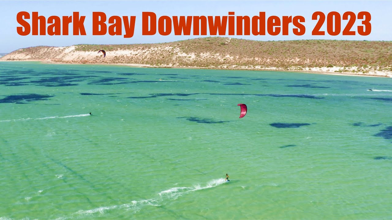 Shark Bay Downwinders 2023 YouTube