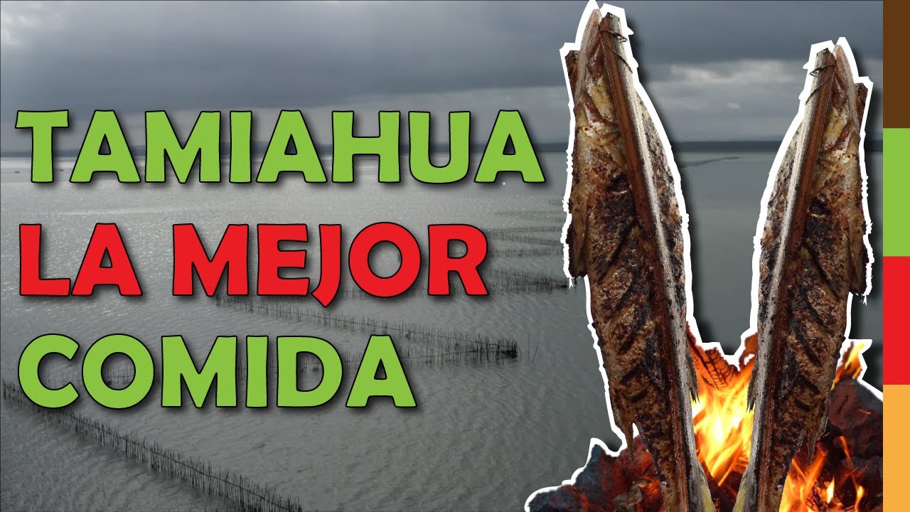 Capítulo 9. La región norte de Veracruz; Tamiahua. Veracruz Afrodescendiente