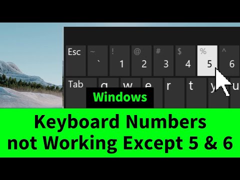 Keyboard Numbers Row Not Working Except 5 & 6 Six Possible Solutions by Iviewgle