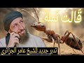 نملة سليمان رسالة تحذير من الرحمن لسلامة قلوب عباده تدبر الشيخ_عامر_الجزائري mp3