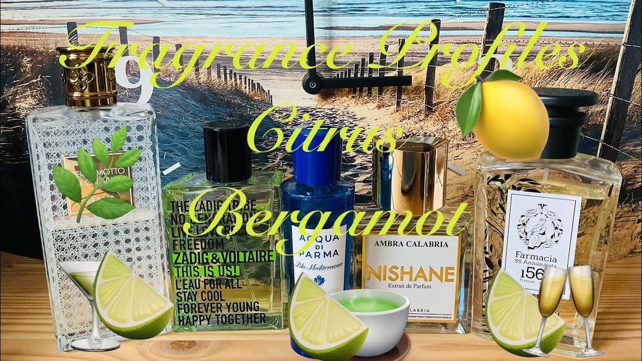 Fragrance Profiles - Citrus - Bergamot 🍋‍🟩🍋‍🟩🍋‍🟩