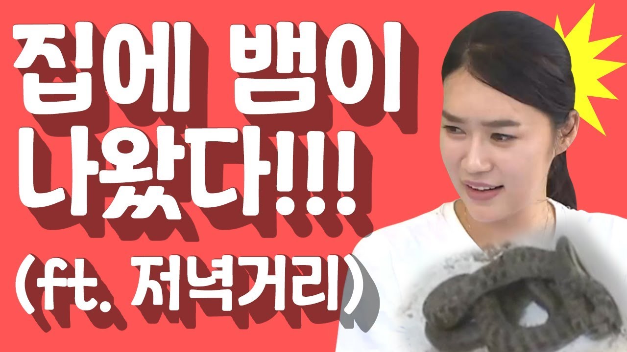 [세이하이 탈북미녀] 이거 레알? "집에서 뱀이 나왔다!" 🐍 혼비백산 북한 미녀들