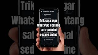 trik cara agar WhatsApp centang satu padahal sedang online