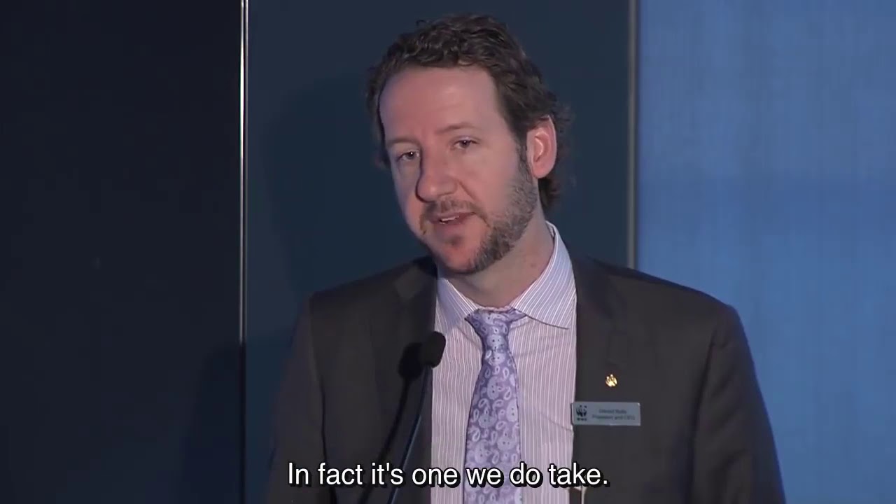 Gerald Butts CEO WWF Pipeline Comments early 2000's
