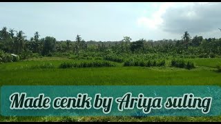 suling Made cenik cover