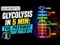Glycolysis in 5 min: The Pathway That Fuels Life #bioinformatics #viral #grow
