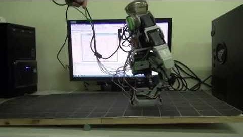 Gait Balance and Acceleration of a Biped Robot Based on Q-Learning