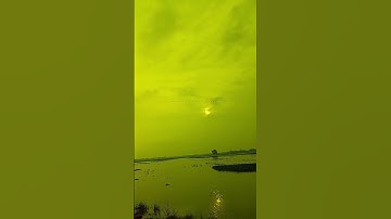 Thumbnail of new ,bord love.flying bird 🐦🕊️ song