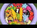 Amazing Ocean Animals for Kids | Learn Sea Creatures with Sounds &amp; Toys!