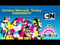 Cartoon Network Turkey HD Continuity Test Fanmade Cartoon Network Turkey HD Continuity Test Fanmade