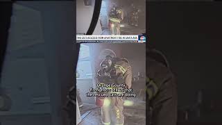 Firefighters rescue 2 cats from apartment fire