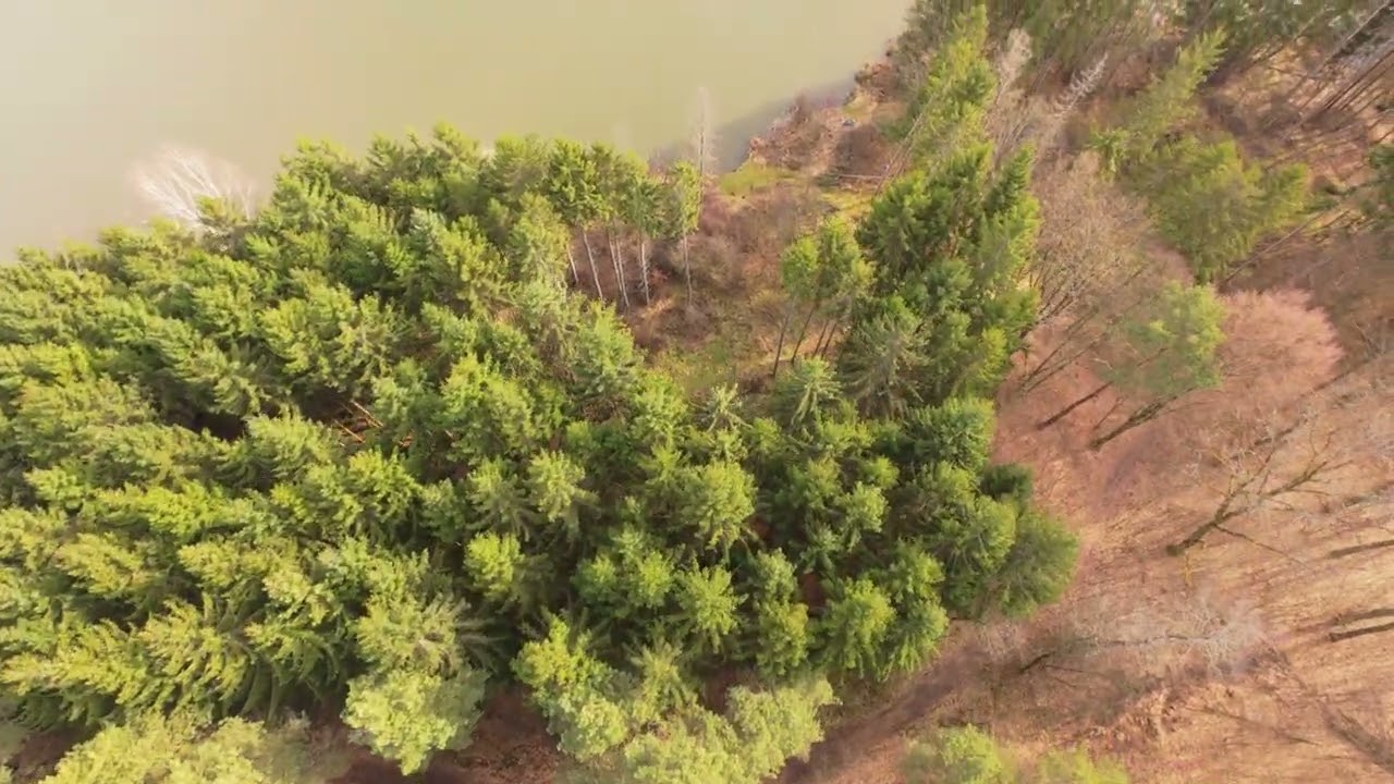 Hársas-tó Őrseg | Spring Vibe 🌿 | 4K Cinematic Drone Footage