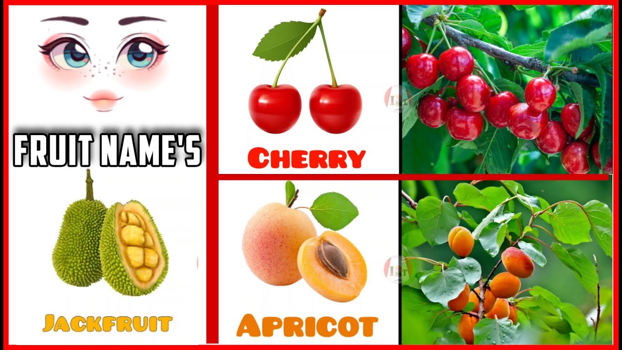 Fruits Name YouTube