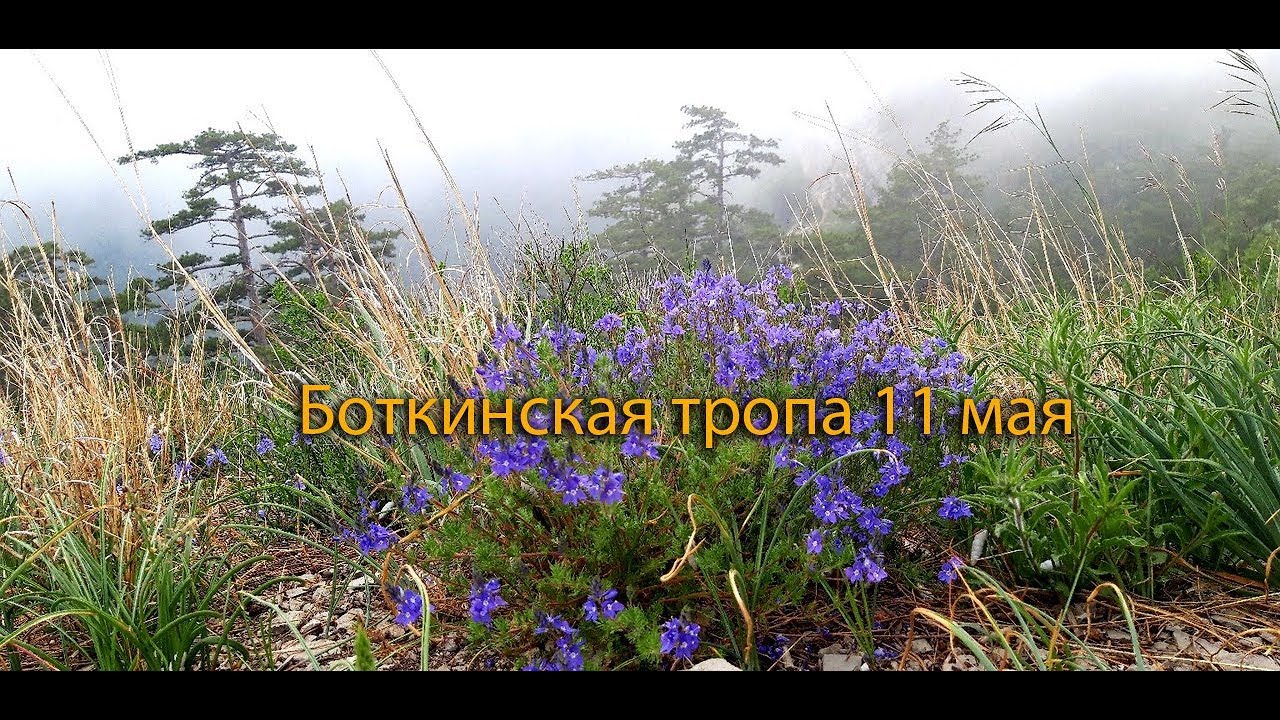 Боткинская тропа крест