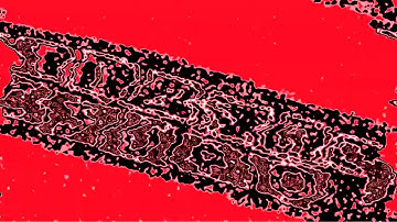 Klasky Csupo In Eternal Doom