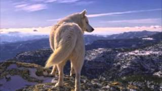 The Killers - Mr. Brightside Hyperbits Remix